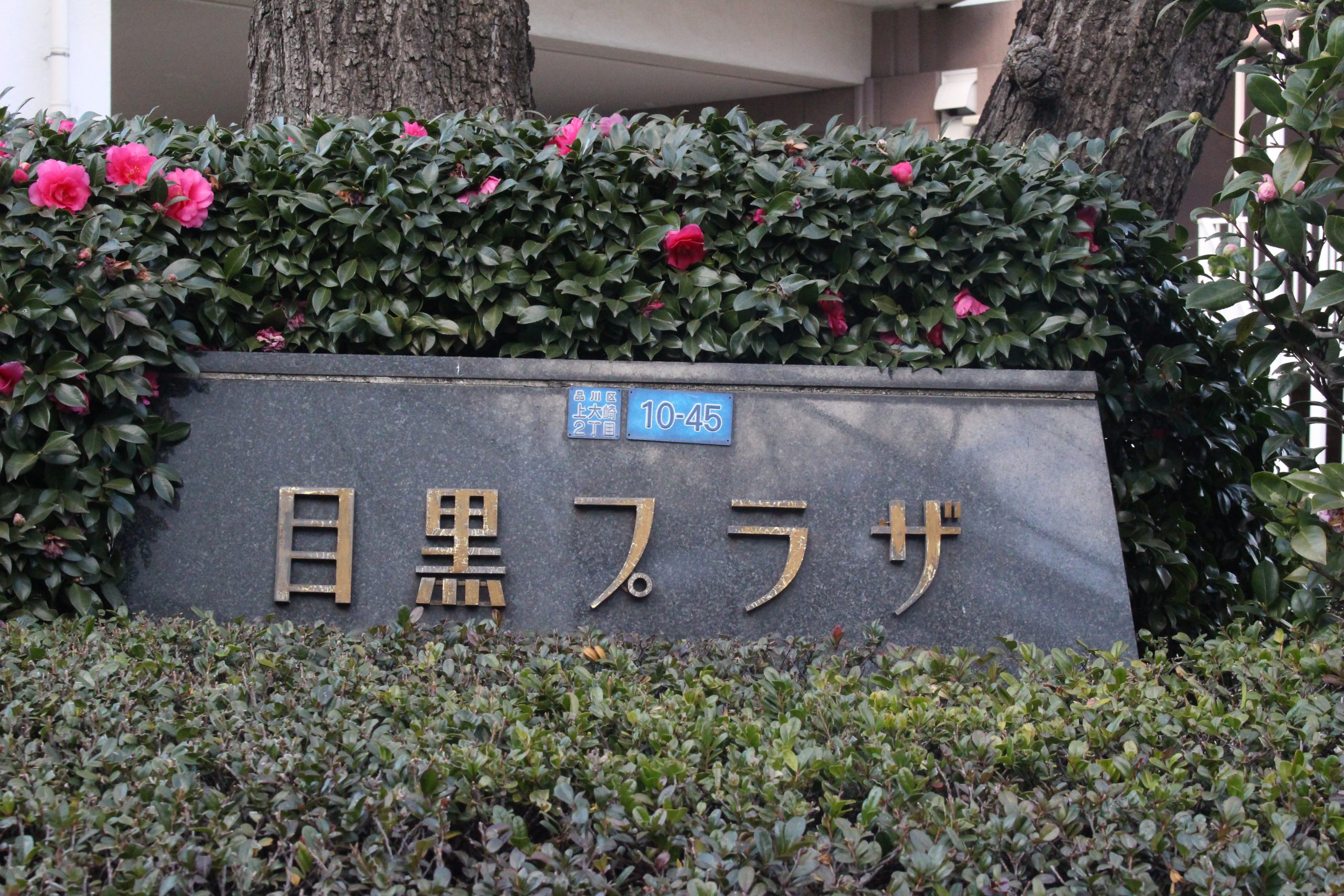 目黒プラザ IMG_1468