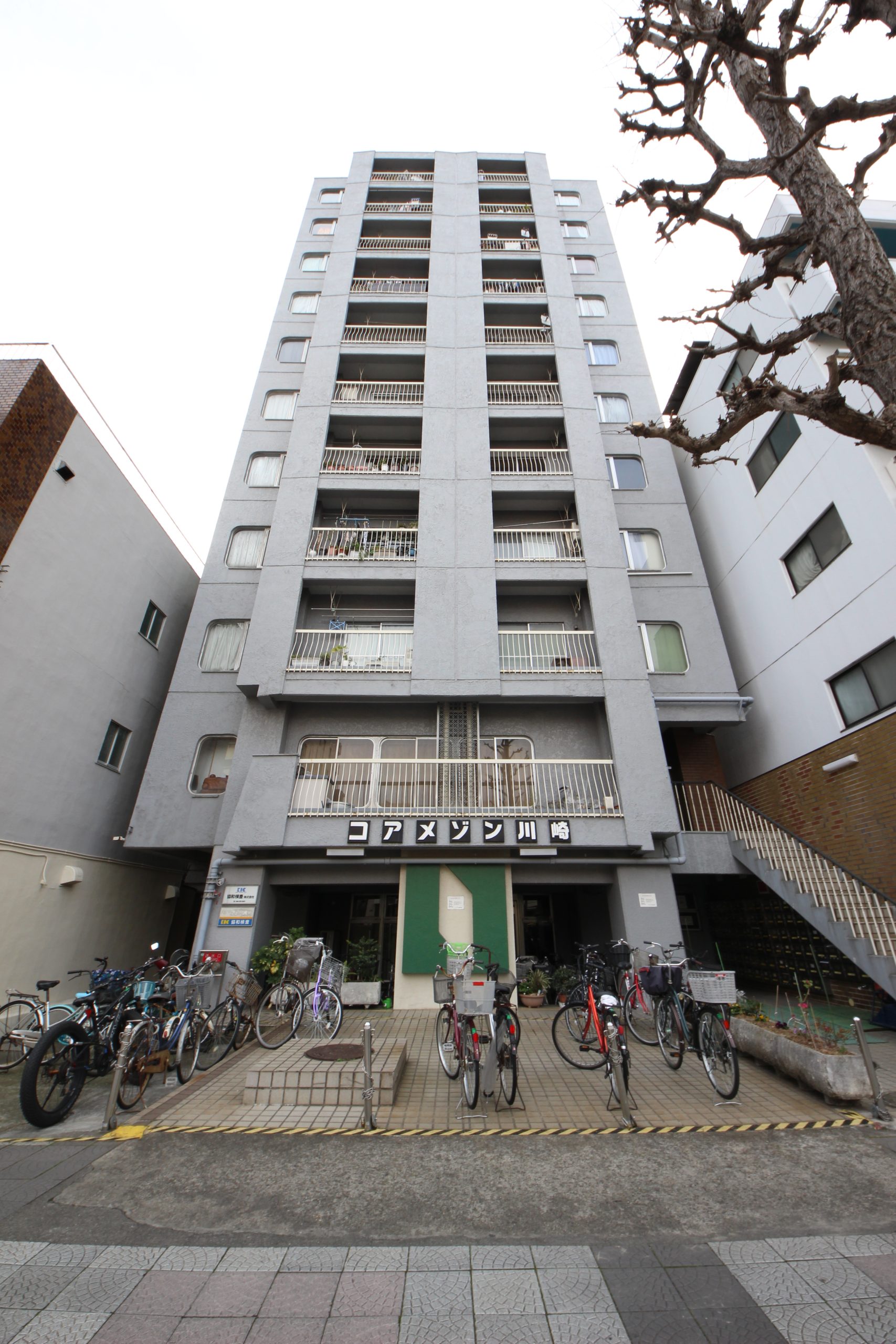 コアメゾン川崎 IMG_1514